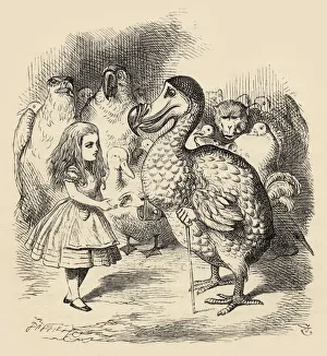 The Dodo Solemnly Presents Alice With A Thimble Illustration By John Tenniel From The Dodo Solemnly Presents Alice With A Thimble Illustration By John Tenniel From