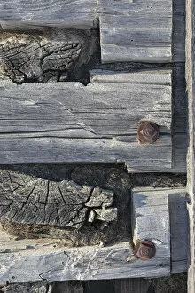 Detail of the dovetailed corner a log cabin, Nulato, Interior Alaska, Alaska, USA