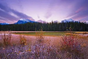 Dwarf Birch, Pond And Mount Hardisty And Mount Kerkeslin At Dawn In Autumn, Jasper National Park, Alberta Dwarf Birch, Pond And Mount Hardisty And Mount Kerkeslin At Dawn In Autumn, Jasper National Park, Alberta