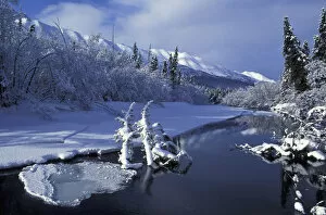 Eagle River In Chugach Sp Sc Alaska Early Winter