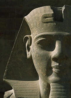 Images Dated 19th February 2009: Egypt, Detail of pharaoh head at entrance to Luxor Temple; Luxor