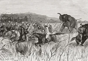 Elephant Hunters In The 19th Century Being Charged By An Elephant. From Edward Vii His Life And Times, Published 1910 Elephant Hunters In The 19th Century Being Charged By An Elephant. From Edward Vii His Life And Times, Published 1910