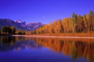 Elk River In Autumn With Three Sisters Mountain Range In The Background; Fernie, British Columbia, Canada Elk River In Autumn With Three Sisters Mountain Range In The Background; Fernie, British Columbia, Canada