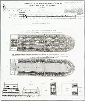 Engraving of how slaves aboard the British slave ship Brookes were carried. It was first published in 1788