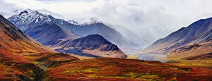 Images Dated 7th September 2008: Fall Colours And Alaska Range, Denali National Park, Alaska