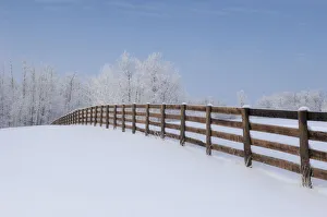 Fence In A Winter Wonderland, Strathcona County, Alberta Fence In A Winter Wonderland, Strathcona County, Alberta
