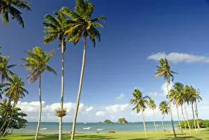 Images Dated 11th October 2006: Fiji, Grassy shoreline with tall palm trees along ocean with boats and small islands; Taveuni