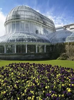 Images Dated 11th April 2006: Flowers In A Garden In Front Of A Greenhouse, Palm House, Belfast Botanic Gardens, Belfast