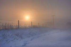 Foggy Winter Sunrise Over Barbed Wire Fence And Hydro Lines, Alberta Prairie Foggy Winter Sunrise Over Barbed Wire Fence And Hydro Lines, Alberta Prairie