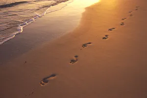 Footprints In Sand At Sunset, Shoreline Water B1452 Footprints In Sand At Sunset, Shoreline Water B1452