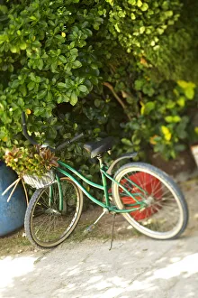 French Polynesia, Tahiti, Maupiti, Bicycle Parked Under Tree French Polynesia, Tahiti, Maupiti, Bicycle Parked Under Tree