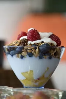 Fruit And Granola In Yogurt
