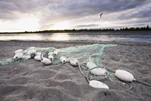 A Gill Net Used For Sockeye Salmon Fishing Stretches Towards The River From The Sandy A Gill Net Used For Sockeye Salmon Fishing Stretches Towards The River From The Sandy