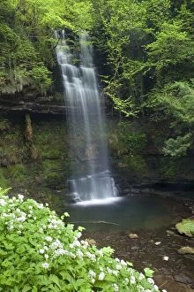 Images Dated 5th May 2007: Glencar Waterfall, Co Sligo, Ireland; W.B. Yeats Made This Waterfall Famous In His Poem The Stolen