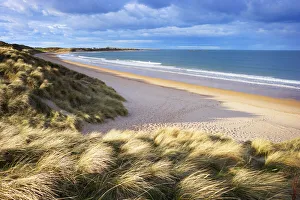 Grass Covered Dunes and Sandy Beach of Embleton Bay, Northumberland, England Grass Covered Dunes and Sandy Beach of Embleton Bay, Northumberland, England