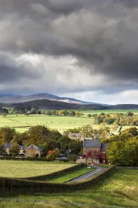 Grass Fields And Autumn Coloured Trees Under Storm Clouds; Wittingham, Northumberland Grass Fields And Autumn Coloured Trees Under Storm Clouds; Wittingham, Northumberland