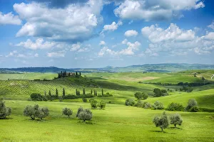 Green rolling landscape with fluffy clouds. Pienza, Siena Province, Val dŽOrcia, Tuscany, Italy, Mediterranean Area Green rolling landscape with fluffy clouds. Pienza, Siena Province, Val dŽOrcia, Tuscany, Italy, Mediterranean Area
