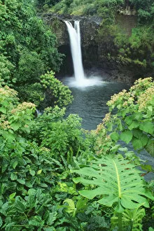 Lakes Streams Art Gallery: Hawaii, Big Island, Rainbow Falls, Pool Surrounded By Tropical Foliage