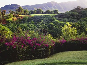 Hawaii, Kauai, Lihue, Kauai Lagoons Golf Course, Kiele Course, Flowers And Vegetation Line The Green Hawaii, Kauai, Lihue, Kauai Lagoons Golf Course, Kiele Course, Flowers And Vegetation Line The Green