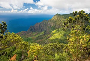 Hawaii, Kauai, Na Pali Coast, Kalalau Valley, View From Kokee State Park Hawaii, Kauai, Na Pali Coast, Kalalau Valley, View From Kokee State Park