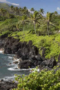 Hawaii, Maui, Hana, The Black Sand Beach of Waianapanapa Hawaii, Maui, Hana, The Black Sand Beach of Waianapanapa