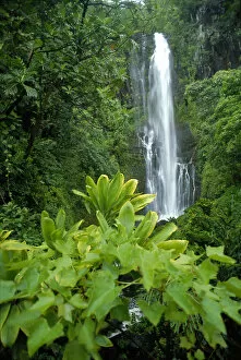 Images Dated 9th October 2001: Hawaii, Maui, Hana, Wailea Falls, Cascading Surrounded By Lush Greenery