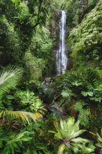 Hawaii, Maui, Hana, Wailua Falls, Beautiful Afternoon Light On Waterfall Hawaii, Maui, Hana, Wailua Falls, Beautiful Afternoon Light On Waterfall
