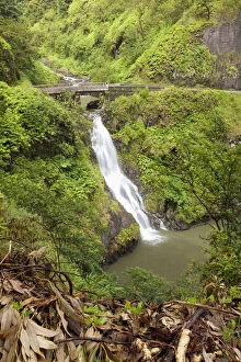 Lakes Streams Art Gallery: Hawaii, Maui, Hana, Wailua Falls beaneath a bridge along the road to Hana