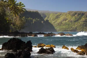 Hawaii, Maui, Keanae Peninsula, Ocean and palm trees Hawaii, Maui, Keanae Peninsula, Ocean and palm trees