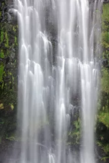 Lakes Streams Art Gallery: Hawaii, Maui, A waterfall in Kipahulu with lush foliage