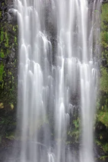 Hawaii, Maui, A waterfall in Kipahulu with lush foliage Hawaii, Maui, A waterfall in Kipahulu with lush foliage