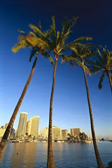 Images Dated 15th April 1999: Hawaii, Oahu, Daytime View Of Waikiki Skyline And Harbor, Palm Trees In Foreground