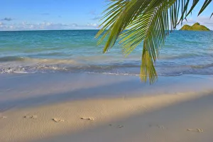 Hawaii, Oahu, Footprints In The Sand At Lanikai Beach Palm Frond And Mokulua Islands Hawaii, Oahu, Footprints In The Sand At Lanikai Beach Palm Frond And Mokulua Islands