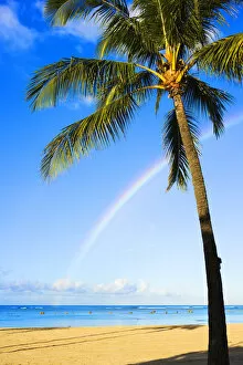 Images Dated 27th May 2005: Hawaii, Oahu, Honolulu, Ala Moana Beach Park, Palm Tree And Rainbow
