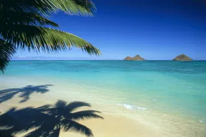 Images Dated 22nd May 1998: Hawaii, Oahu, Lanikai Beach With Calm Turquoise Water, Mokulua Islands Background Palm Fronds And Shadow Foreground