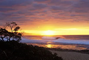 Hawaii, Oahu, North Shore, Waves Crashing At Sunset, Tree Silhouetted Hawaii, Oahu, North Shore, Waves Crashing At Sunset, Tree Silhouetted