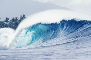 Images Dated 18th March 2005: Hawaii, Oahu, Perfect Wave At Pipeline