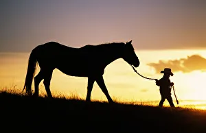 Hawaii, Silhouette Of Boy Leading Horse Along Grassy Hillside At Sunset Hawaii, Silhouette Of Boy Leading Horse Along Grassy Hillside At Sunset