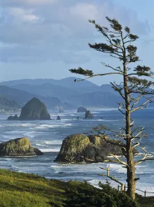 Haystack Rock Viewed From Ecola Point; Cannon Beach, Oregon, United States Of America Haystack Rock Viewed From Ecola Point; Cannon Beach, Oregon, United States Of America