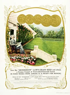 Historic Henderson Lawn Grass Seed Advertisement From 20th Century Historic Henderson Lawn Grass Seed Advertisement From 20th Century