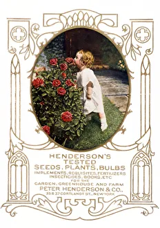 Historic Henderson's Seed Catalog With Illustration Of Child Smelling Roses From 20th Century Historic Henderson's Seed Catalog With Illustration Of Child Smelling Roses From 20th Century