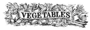 Historic Illustration Of Vegetables With Graphic Banner From The 20th Century Historic Illustration Of Vegetables With Graphic Banner From The 20th Century
