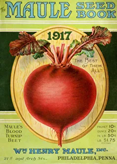 Historic Maule's Seed Book With Illustration Of Blood Turnip Beet From 20th Century Historic Maule's Seed Book With Illustration Of Blood Turnip Beet From 20th Century