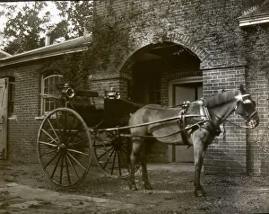 Horse and carriage in a courtyard outside a brick stable Horse and carriage in a courtyard outside a brick stable