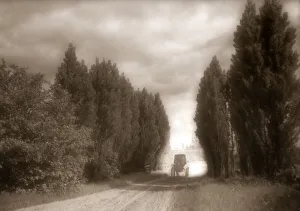 Horse and coach on country road with tree on each side, circa 1900; United States of America Horse and coach on country road with tree on each side, circa 1900; United States of America