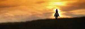 Images Dated 12th September 2003: Horseback Rider
