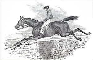 Grand National Gallery: Illustration depicting a horse from the 1836 Grand Liverpool Steeplechase