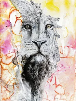 Illustration Of A Lion's Face Surrounded By Colourful Abstract Patterns Illustration Of A Lion's Face Surrounded By Colourful Abstract Patterns