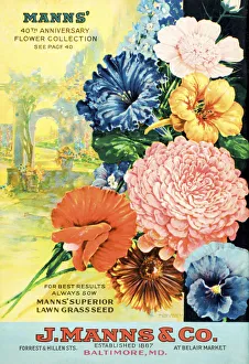 J. Mann's Seed Catalog With Illustration Of Flowers From 20th Century J. Mann's Seed Catalog With Illustration Of Flowers From 20th Century