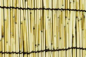 Japan, Tokyo, Meiji Jingu Shrine, Texture Of Bamboo Japan, Tokyo, Meiji Jingu Shrine, Texture Of Bamboo